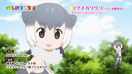 けものフレンズ_コツメカワウソ.png